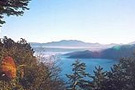 阿里山 阿里山