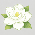 湖北省栀子花生物科技有限公司