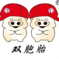 米易双胞胎饲料有限公司