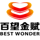 天津百望金赋科技有限公司